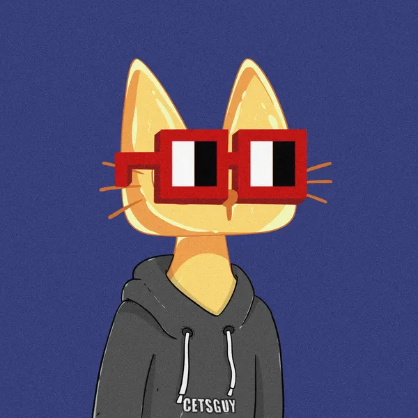Custom Cets for @cetsisgoldcats
